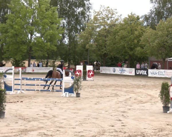 Reitturnier Münster-Roxel 2025