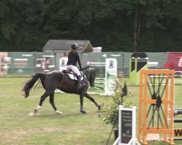Reitturnier Wohlesbostel 2025