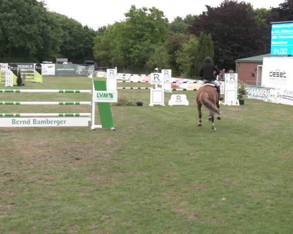 Reitturnier Wohlesbostel 2025