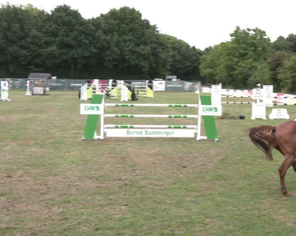 Reitturnier Wohlesbostel 2025