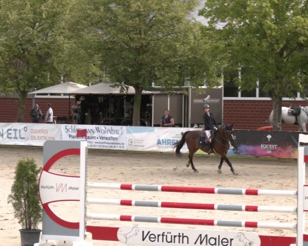 Reitturnier Münster-Roxel 2025