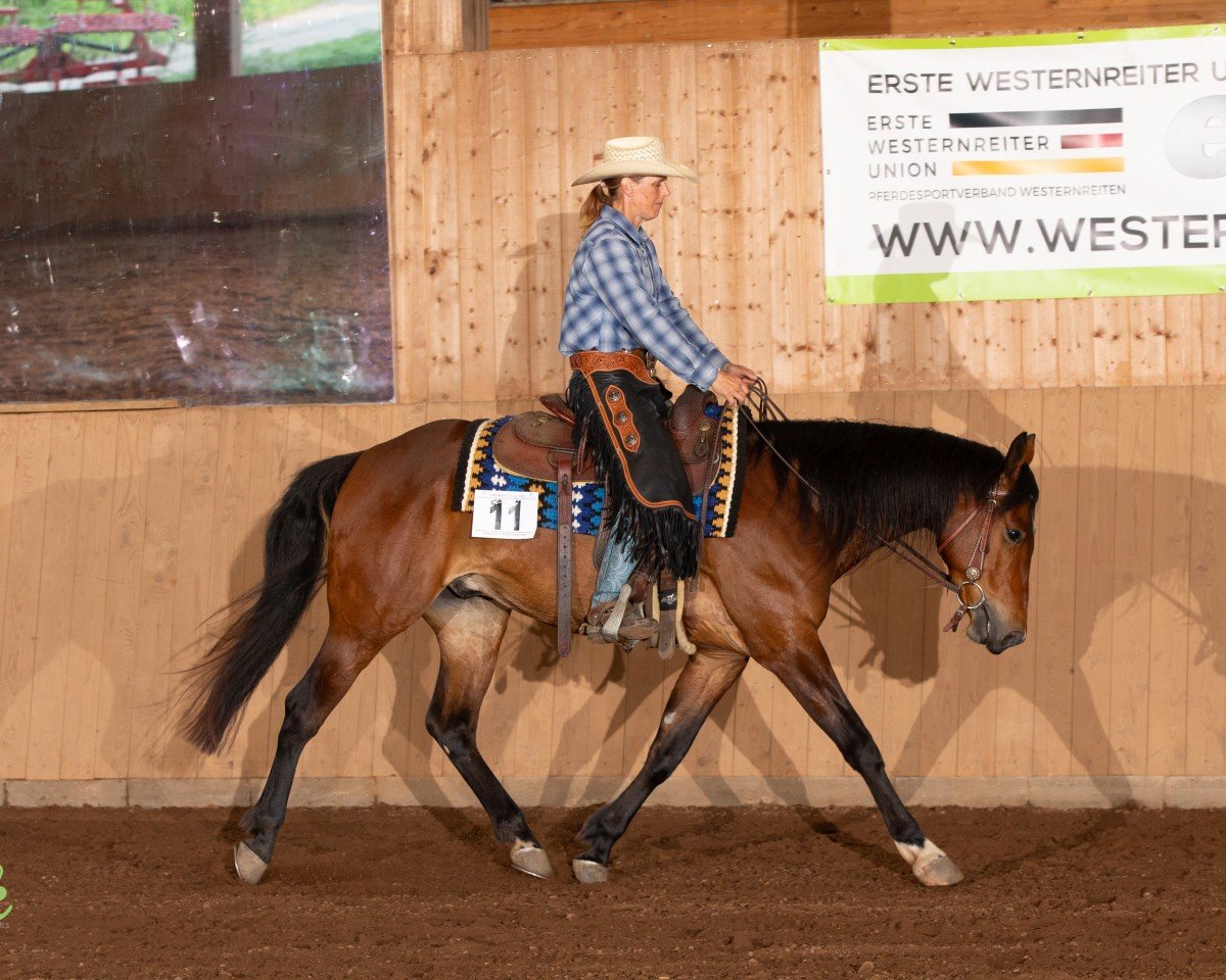 horse WO Shining Crome (Quarter Horse, 2020)