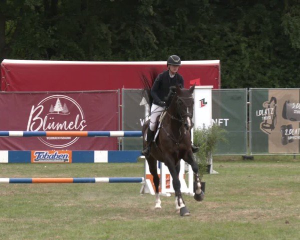 Reitturnier Wohlesbostel 2025