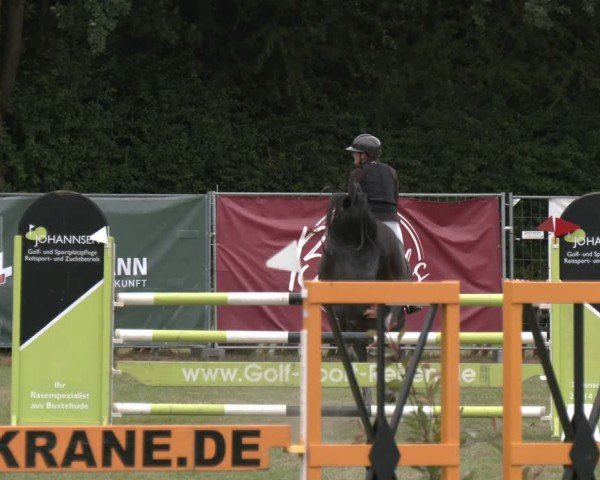Reitturnier Wohlesbostel 2025