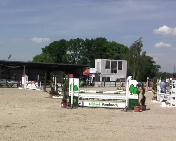 Großes Reit- und Springturnier Kirchhellen/Stall Dieckmann 2014