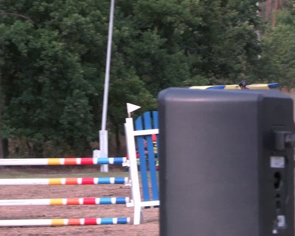 Reitturnier Niederwerbig 2025