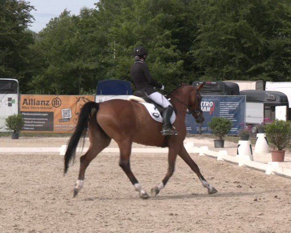 Reitturnier Heiligenwald 2025