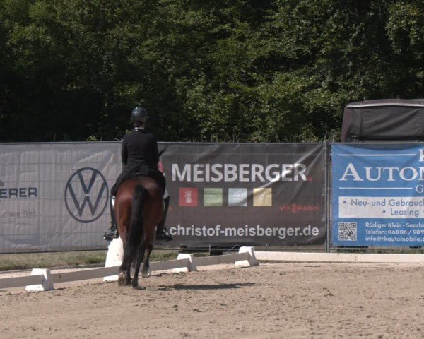 Reitturnier Heiligenwald 2025