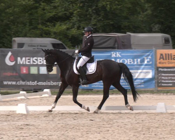 Reitturnier Heiligenwald 2025