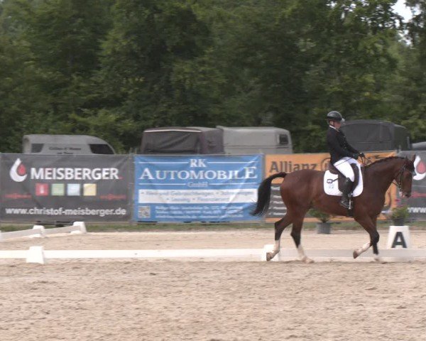 Reitturnier Heiligenwald 2025