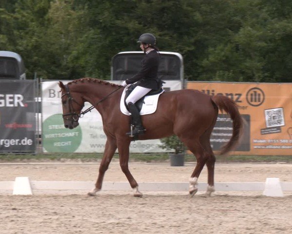 Reitturnier Heiligenwald 2025