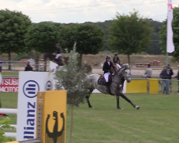 Reitturnier Dersekow 2025