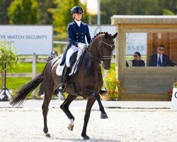 broodmare Zantana Rs2 OLD (Oldenburg, 2014, from Zonik)