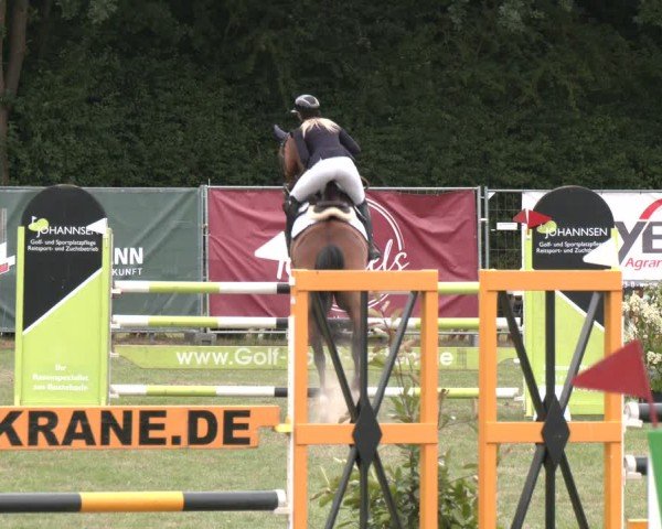 Reitturnier Wohlesbostel 2025