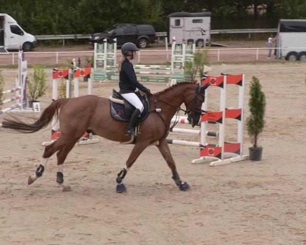Reitturnier Heiligenwald 2025