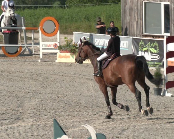 Springturnier Seewalchen 2025