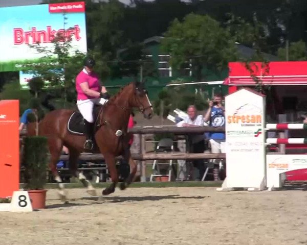 Großes Reit- und Springturnier Kirchhellen/Stall Dieckmann 2014