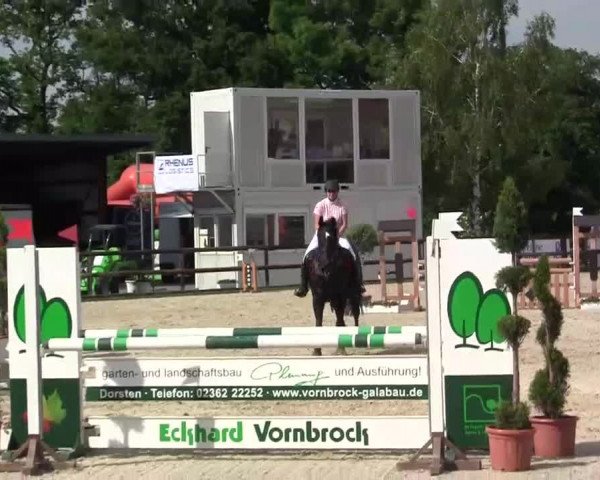 Großes Reit- und Springturnier Kirchhellen/Stall Dieckmann 2014