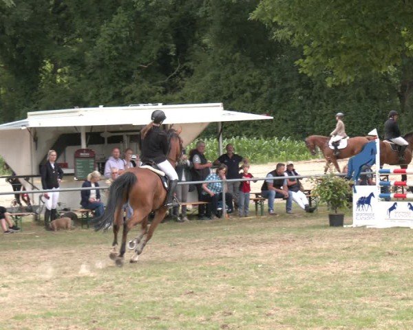 Reitturnier Wohlesbostel 2025