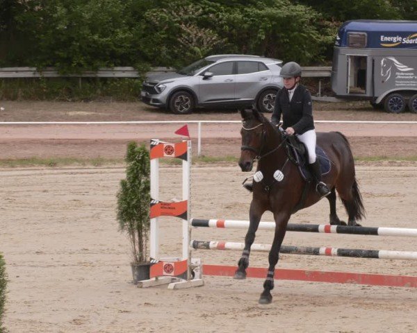Reitturnier Heiligenwald 2025