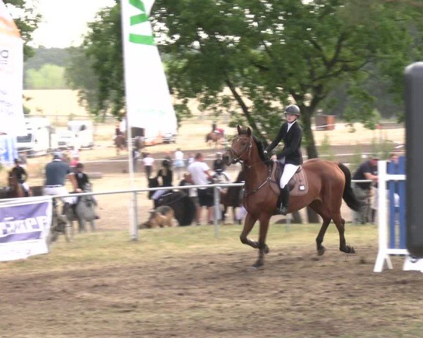 Reitturnier Niederwerbig 2025