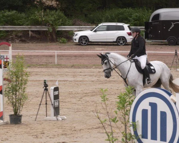 Reitturnier Heiligenwald 2025