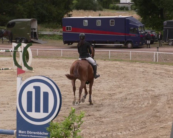 Reitturnier Heiligenwald 2025