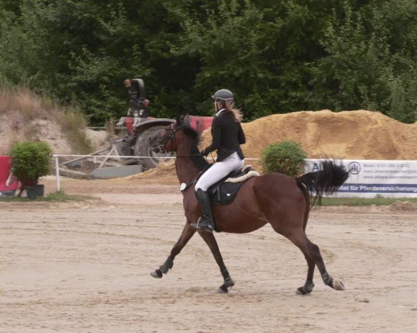 Reitturnier Heiligenwald 2025