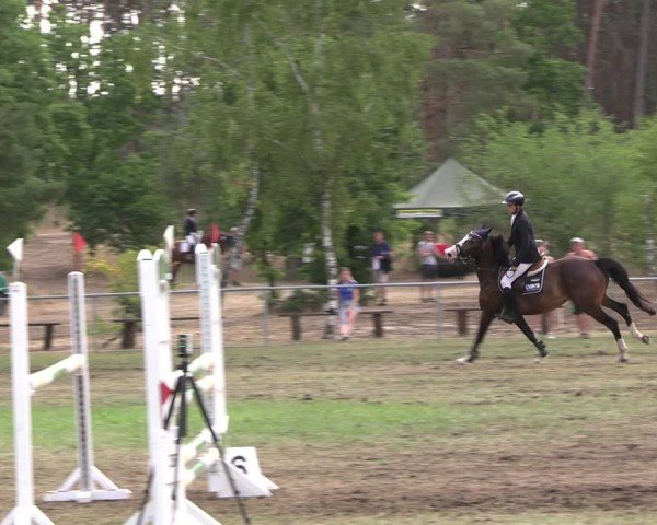 Reitturnier Niederwerbig 2025