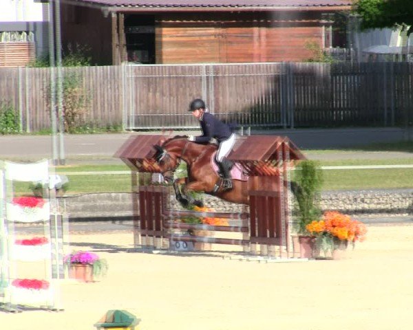 Reitturnier Ingolstadt-Hagau/Obb. 2025