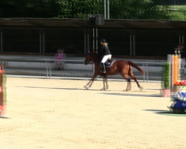 Reitturnier Ingolstadt-Hagau/Obb. 2025