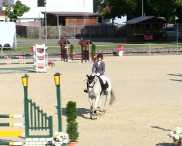 Reitturnier Ingolstadt-Hagau/Obb. 2025