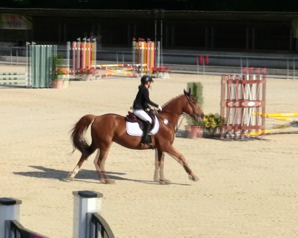 Reitturnier Ingolstadt-Hagau/Obb. 2025