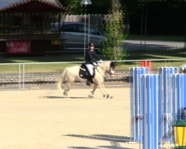 Reitturnier Ingolstadt-Hagau/Obb. 2025
