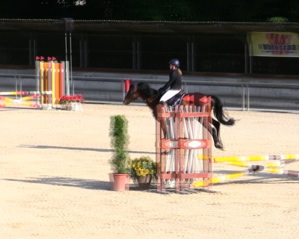 Reitturnier Ingolstadt-Hagau/Obb. 2025