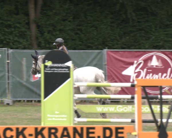 Reitturnier Wohlesbostel 2025