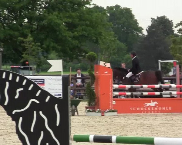 Großes Reit- und Springturnier Kirchhellen/Stall Dieckmann 2014