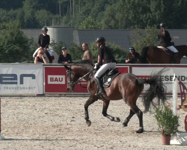 Springturnier Seewalchen 2025