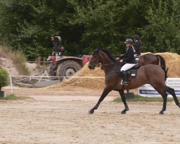 Reitturnier Heiligenwald 2025