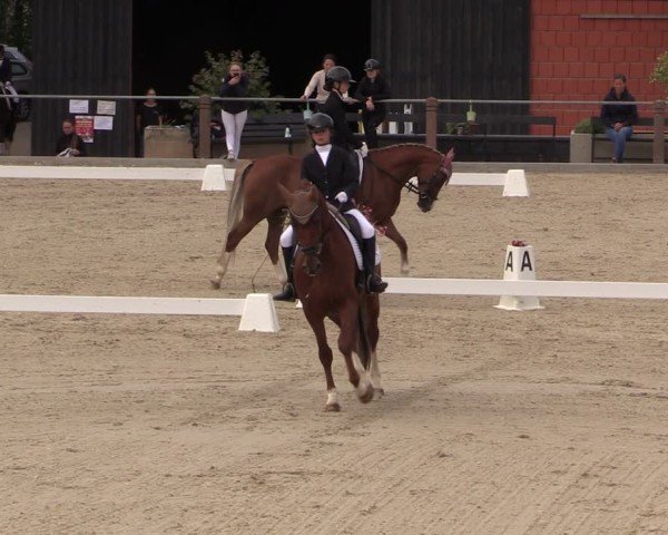 Reitturnier Uder, Reitanlage Kobold 2025