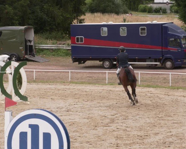 Reitturnier Heiligenwald 2025