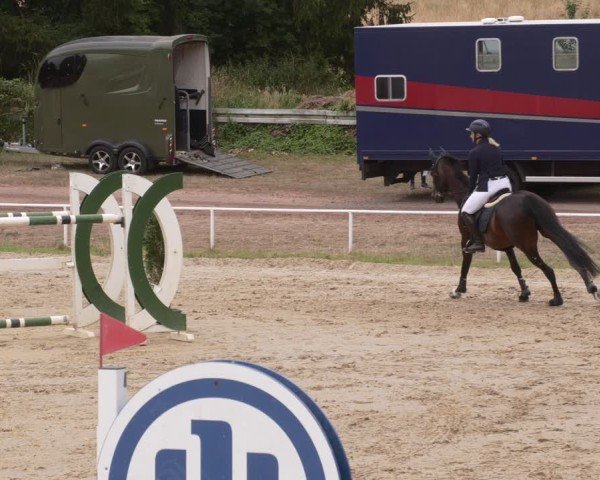 Reitturnier Heiligenwald 2025