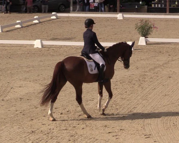 Reitturnier Uder, Reitanlage Kobold 2025