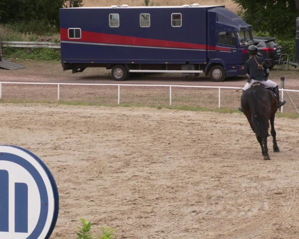 Reitturnier Heiligenwald 2025