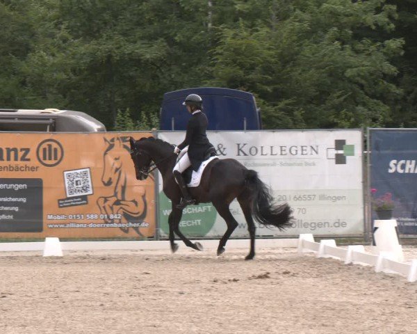Reitturnier Heiligenwald 2025