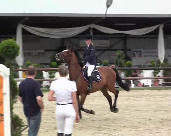 Großes Reit- und Springturnier Kirchhellen/Stall Dieckmann 2014