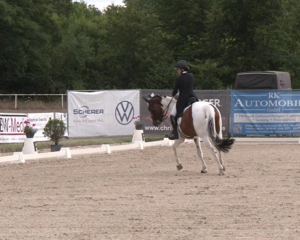 Reitturnier Heiligenwald 2025