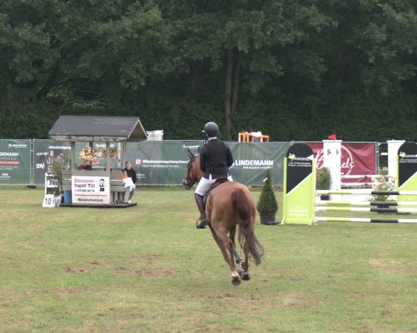 Reitturnier Wohlesbostel 2025