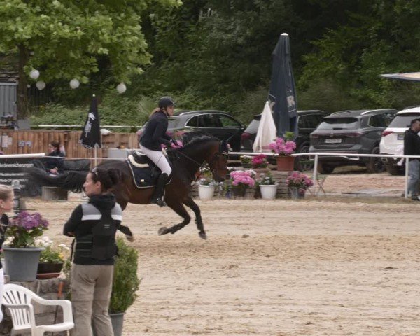 Reitturnier Heiligenwald 2025