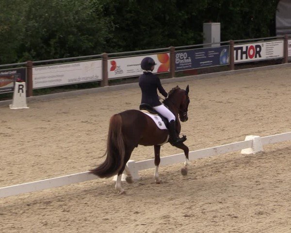 Reitturnier Uder, Reitanlage Kobold 2025